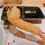お出汁で食べる串かつと釜めしの専門店 ぎん庵 - 料理写真: