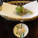 よし町 - こしあぶら、こごみ天麩羅