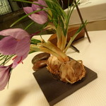 アコルドゥ - 2013.11　サフランが飾られていました