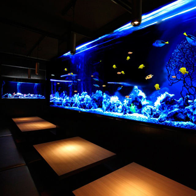 座席 渋谷水族館 渋谷駅前店 渋谷 ダイニングバー 食べログ 座席 渋谷水族館 渋谷駅前店 渋谷 ダイニングバー 食べログ