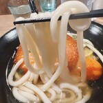 Saishokushuke Tami - うどん麺♪