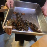 ワインとオマール海老の店 UOMO - 