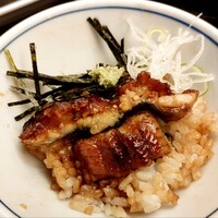 ひつまぶし名古屋備長 大名古屋ビルヂング店 - 薬味を添え