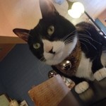 サビオカフェ - トンちゃん♪かっこいい～～(≧▽≦)