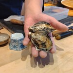 すしやのたい悟 - 兵庫県室津からの殻付き生牡蠣