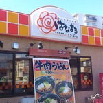 Hanamaru Udon - 