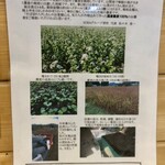 Sobakiri hachidai - 蕎麦の説明