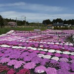 うみかぜ食堂 - 札苅村上芝桜園