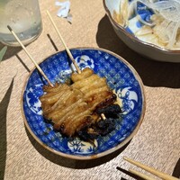 始祖鳥 - 