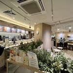 DOUTOR COFFEE - 