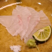 壱 - ⑨雉羽太(別称:アコウ、兵庫県淡路島産、3kg)
                    MAXサイズのアコウ、大きくなるほど美味しさが飛躍的に高まるので、甘みと旨みが素晴らしいです