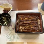 Unagi Ikeda - 