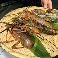 花郷 六本木店 - 