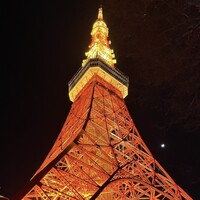 ワカヌイ グリル ダイニング バー 東京 - 
