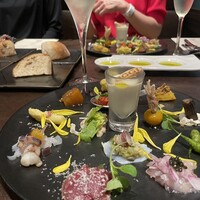 オッジ ダルマット 西麻布店 - 