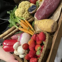オッジ ダルマット 西麻布店 - 