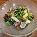 リストランテ野呂 - 滑川蛍いか白アスパラガスと柑橘のサラダ