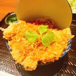 Tonkatsu Wakaba - 