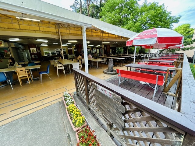 森の食堂 - 八木山動物公園（食堂）の写真
