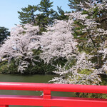駅弁屋 - 杉の大橋の快晴で満開の桜