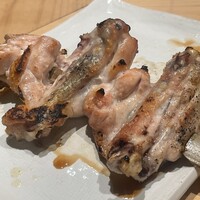 伊勢廣 京橋本店 - 2024.05.15 (水)  焼鳥フルコース（手羽）　8000円（税込）