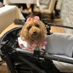 Regina Resort Karuizawa Mikage Yosui