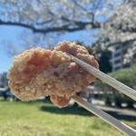 Karaage Senmonten Chidoriu - 