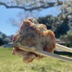 Karaage Senmonten Chidoriu - 