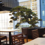 TORAYA GINZA - テラス席