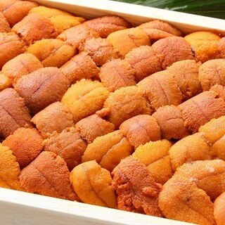 おいしい寿司と活魚料理 魚の飯_2