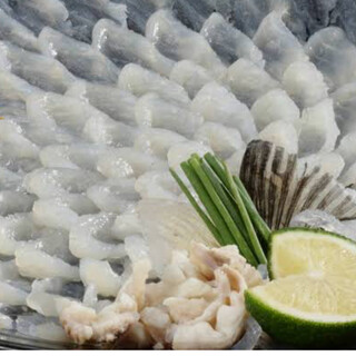 大分の肉厚なフグの刺身味わい深いフグは是非、塩で！
