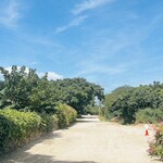 そば処 竹の子 - 