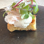 eos - 淡路島　新玉葱　グアンチャーレ