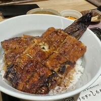 うなぎのしろむら - 活うなぎ丼 上