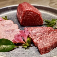 USHIGORO S. SHINJUKU - 