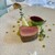 Ristorante Crocifisso - 料理写真:仔牛ロース肉のロースト 万願寺唐辛子のソース ウンブリア産赤玉ねぎのアグロドルチェ
          