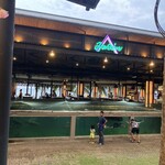 Mum Aroi - アロワナ水槽