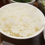 キッチン ブルー グローブ - ご飯大盛りのアップ