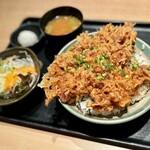 Tempura Shun Washoku Akira - 無農薬野菜かき揚げ丼御膳・ご飯大盛（1000円）