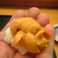 鮨処うえの - 手渡しうに