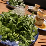 Meguro Soregashi - 春菊サラダ
