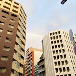 森のらくだ - 突然の雨の後の虹