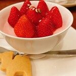 森のらくだ - クッキー添え