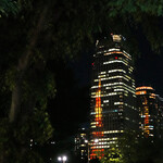 Le Pain Quotidien - 東プリ駐車場から愛宕グリーンヒルズに映る東京タワー