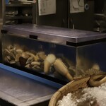 魚貝三昧 げん屋 - 