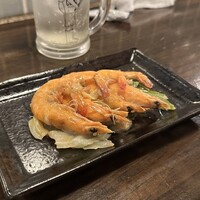 アカミヤコウシ - 