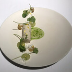 ブレストンコート ユカワタン - 