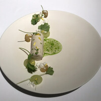 ブレストンコート ユカワタン - 