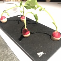 ブレストンコート ユカワタン - 