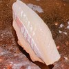 Sushi Murayama - 細魚です